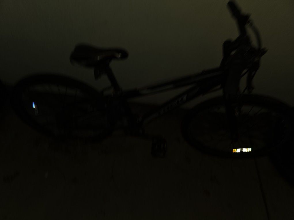 Trek Mt200 Kids Mountain Bike