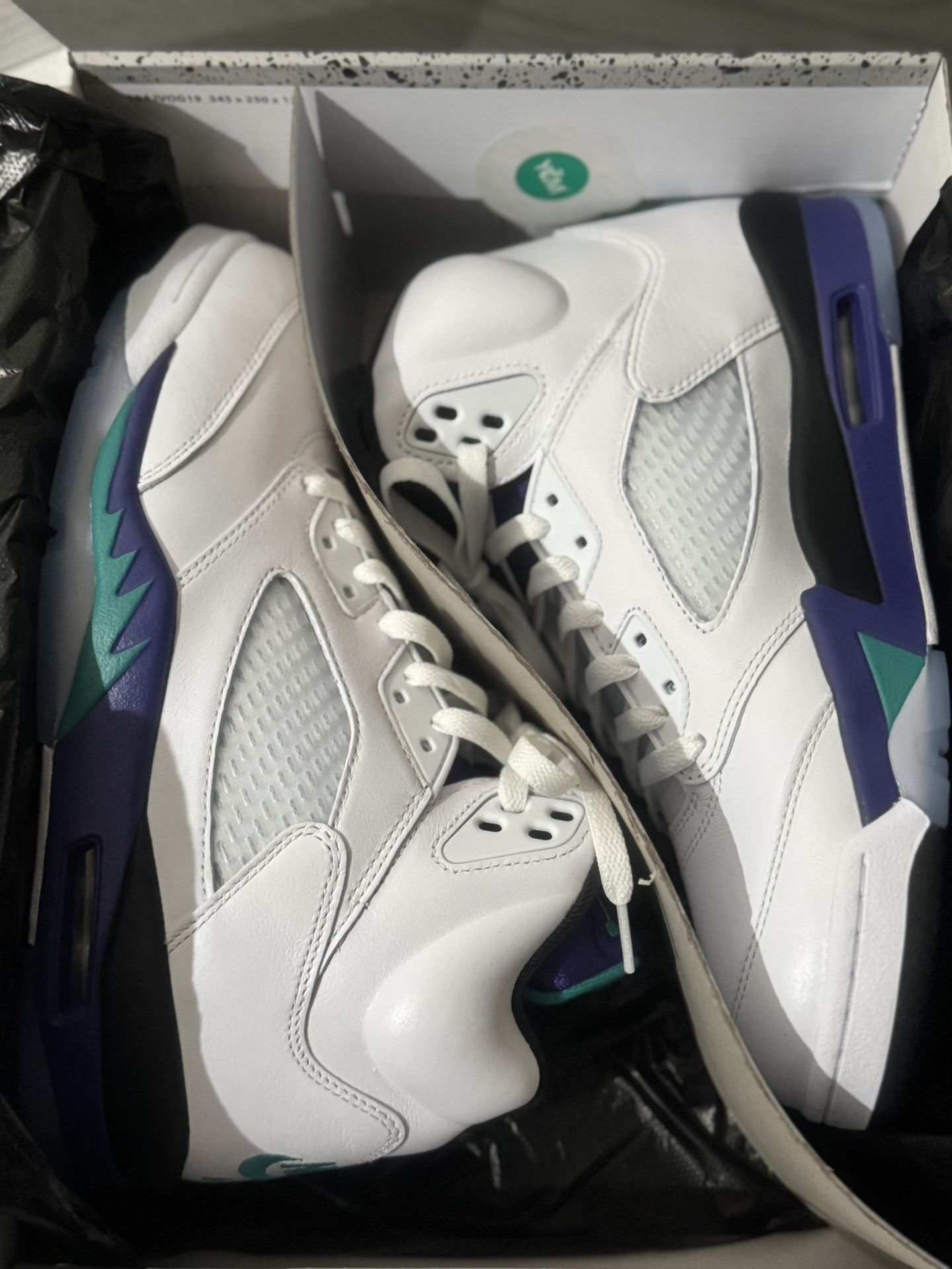Jordan 5 Grapes (2025)