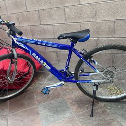 26” Bike (10-14 Yrs Old)