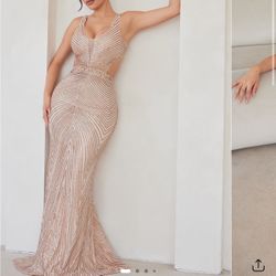 Rose Gold Dress