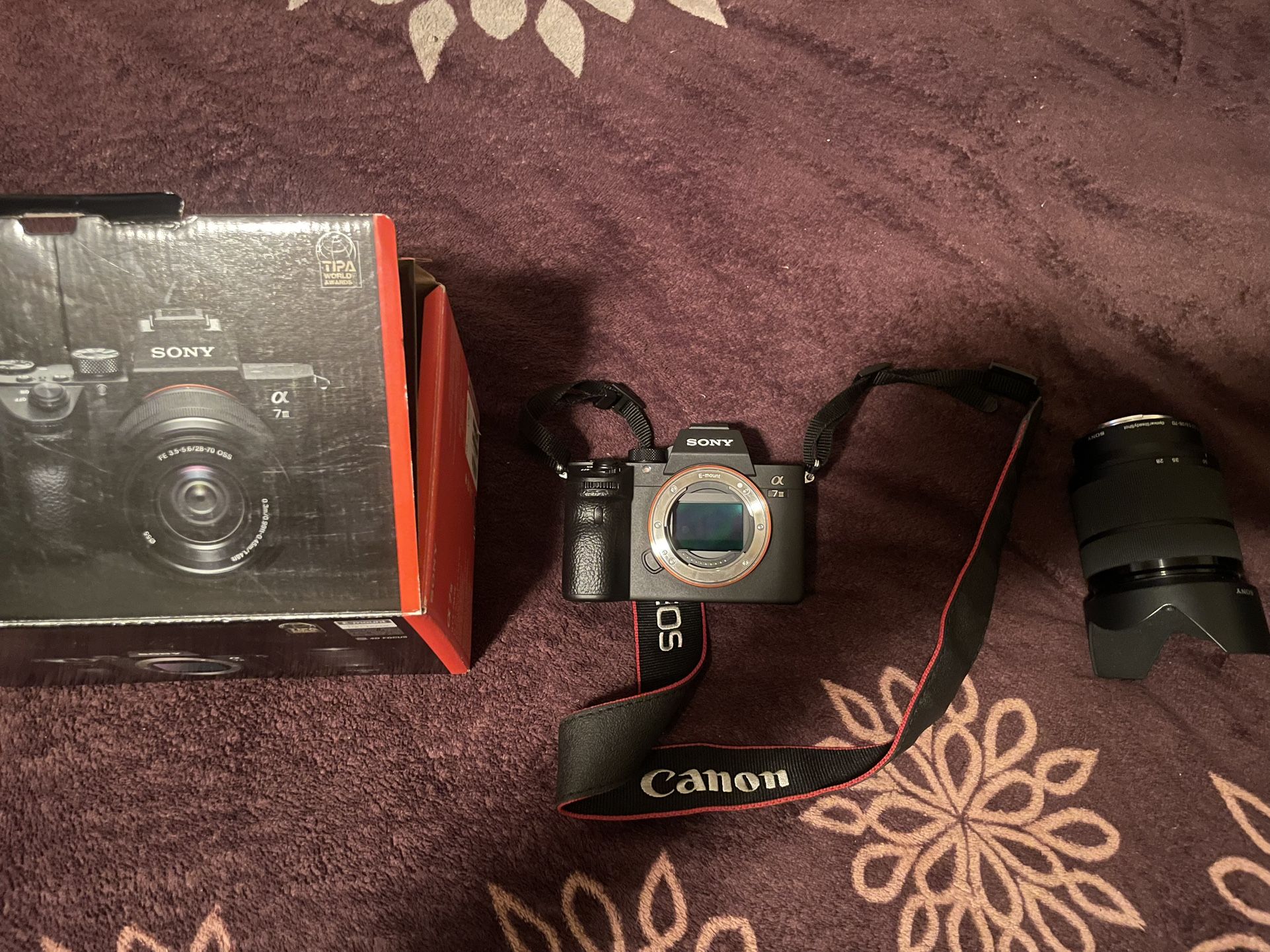 Sony A7III + Lens + Accessories