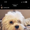 Benny