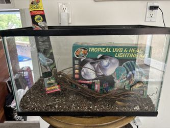 Reptile / Fish Tank Terrarium and Light Lamp
