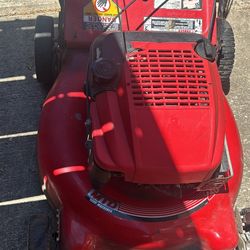 Lawnmower With Briggs & Stratton Engine