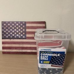 Cornhole Bags 