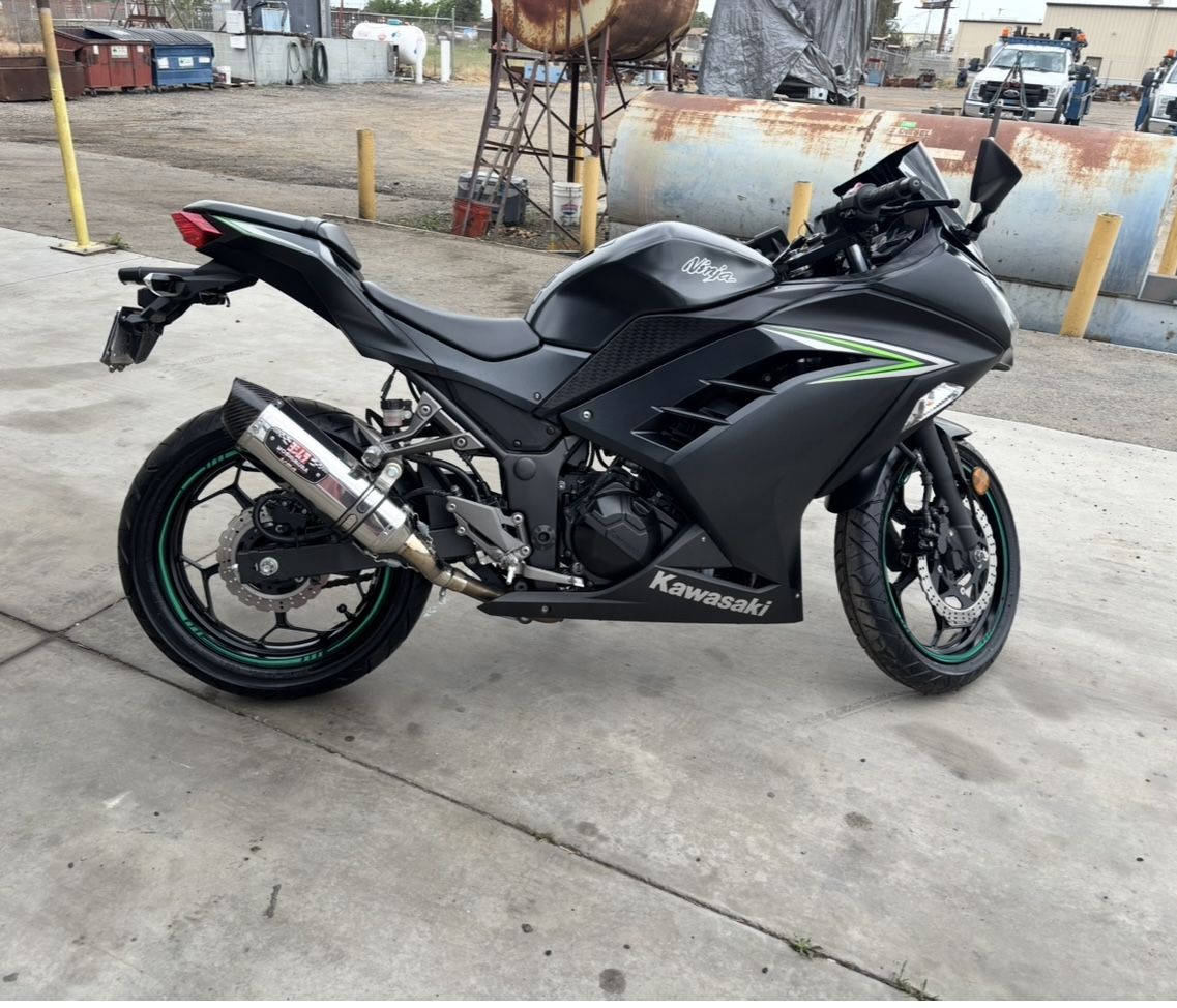 2016 Kawasaki Ninja 300