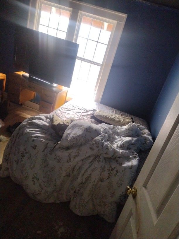 Rooms To Let....Not .50¢