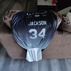 2 Brand New Universal Las Vegas Raiders Bo Jackson Car Seat Covers