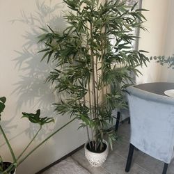 Tall Faux Bamboo Plant with Decorative Pot – 6ft