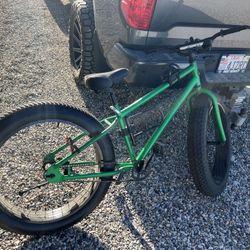 Big Tire Bike