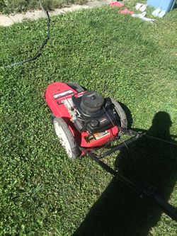 Push weed eater
