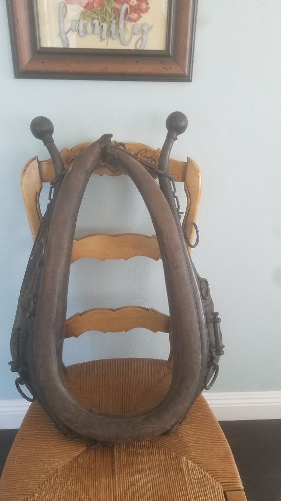 Leather horse harness