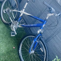 Trek Navigator 300 Hybrid Bike 