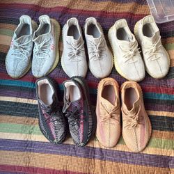 Yeezy 350s (Bulk)