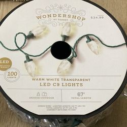 Warm White Transparent Led C9 Lights.