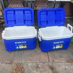 Like-New Igloo Cooler (only 1 Available)