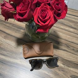 Ray Ban Polorized Sunglasses 