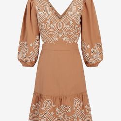 Express Long Sleeve Mini Dress