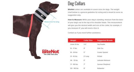 BITENOT PET COLLAR – NO CONE COLLAR