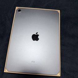 iPad Blue 64gb