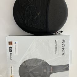 Sony Noise Cancelling Headphones