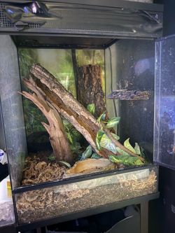 Terrarium