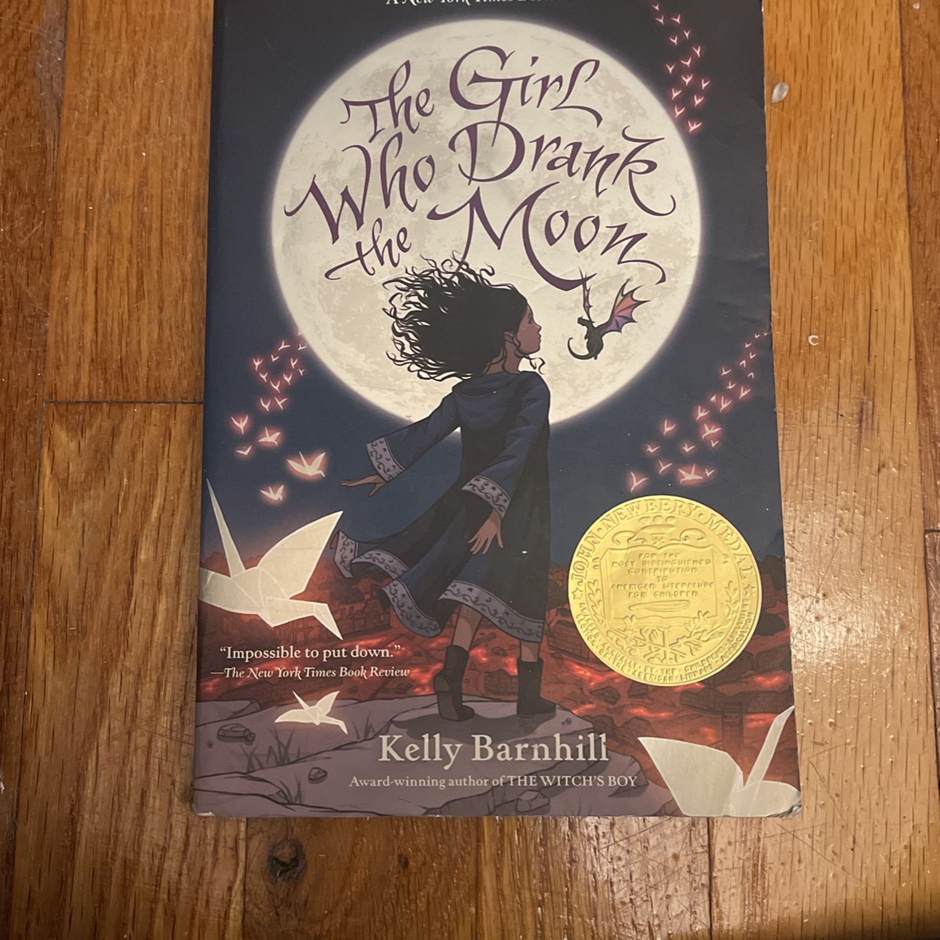 The Girl Who Drank The Moon