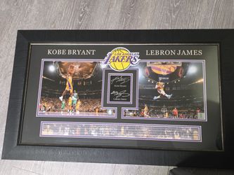 Kobe bryant and labron james