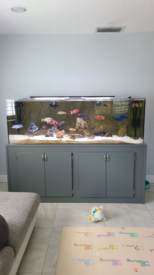 180 gallon acrylic fish tank / aquarium for Sale in Fort Lauderdale, FL