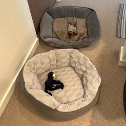 Free Dog Beds And Toys. 