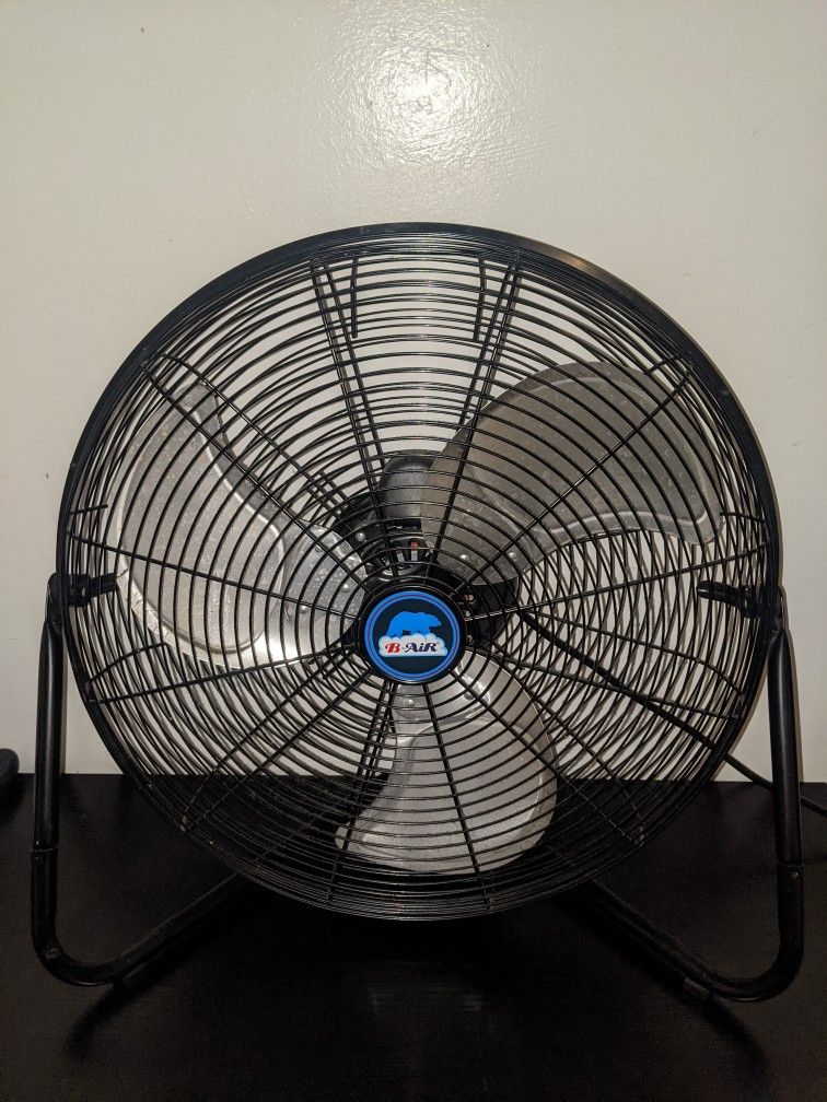 Fan
