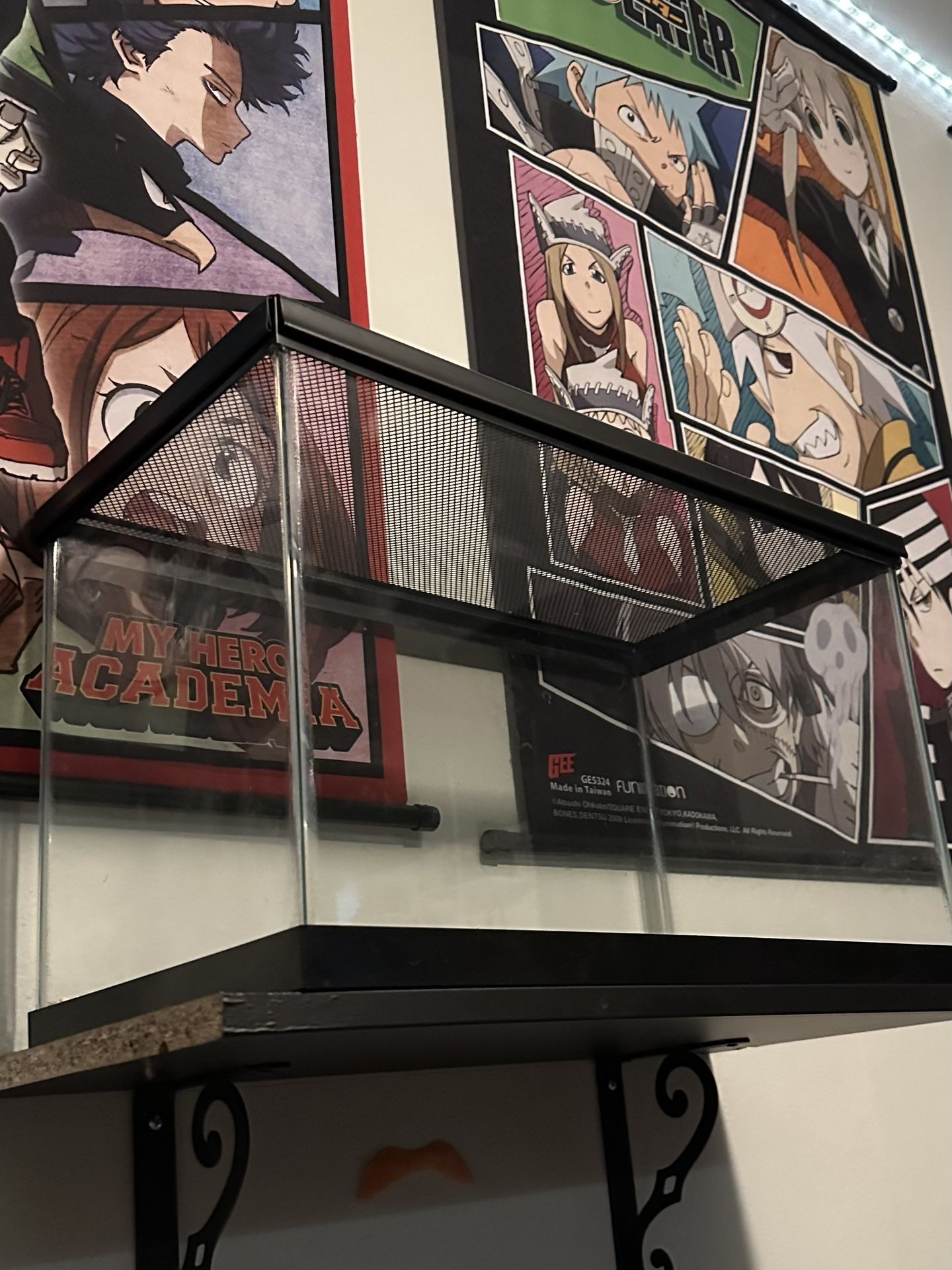 10 Gallon Tank With Screen Lid