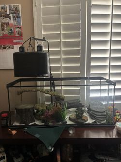 Full reptile tank setup