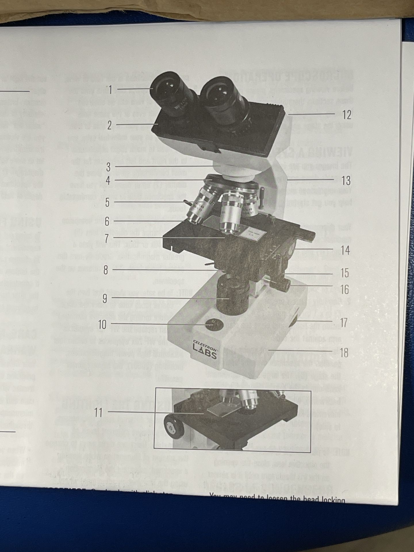 (New) Celestron Labs CB2000CF Binocular Head Compound Microscope, 40-2000x