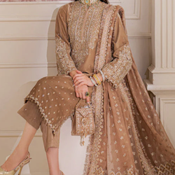 Velvet Pakistani Dress