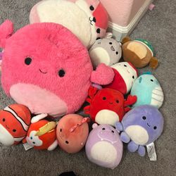 Squishmallows All For $5