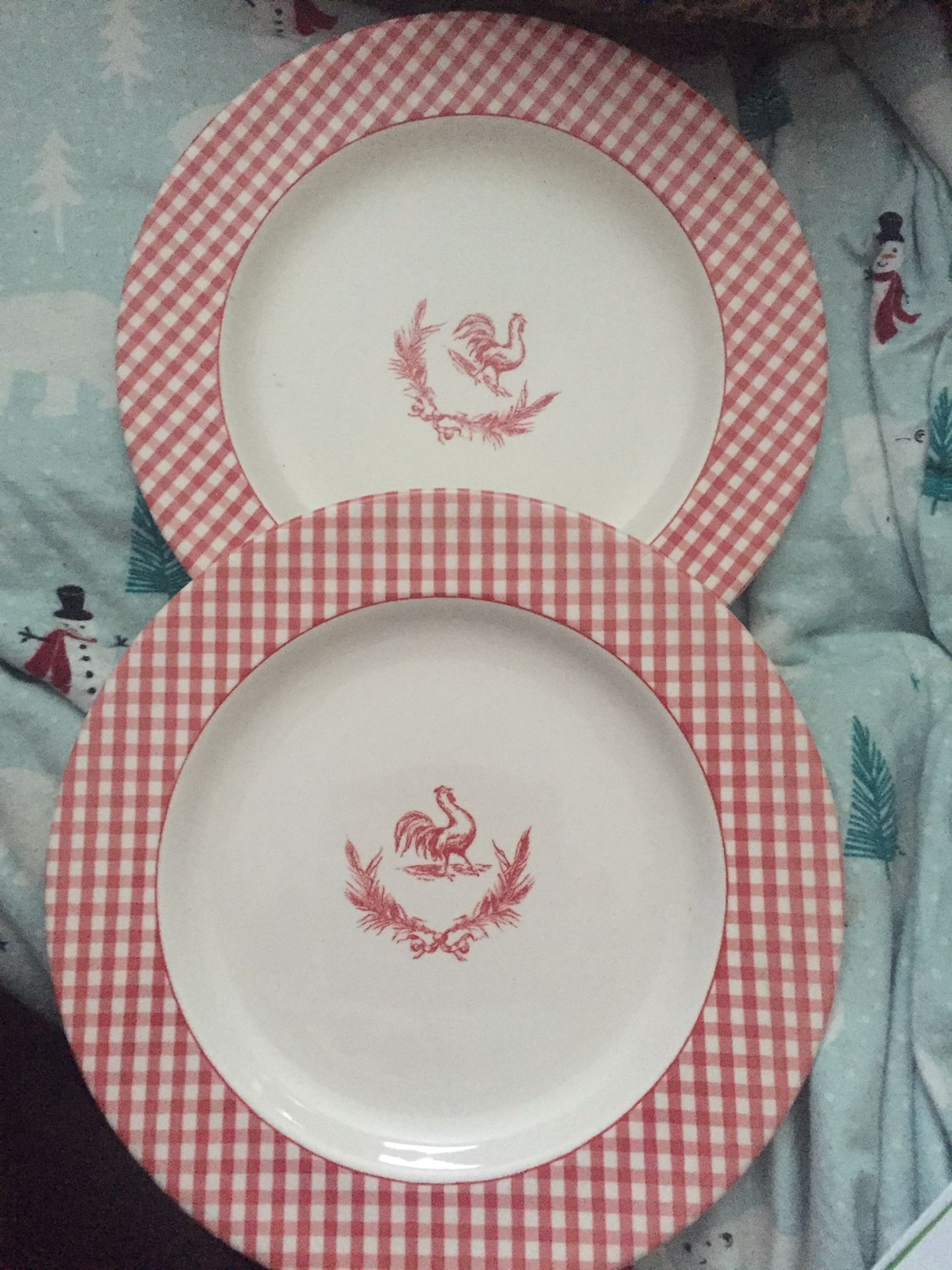 2-Decorative Rooster Plates