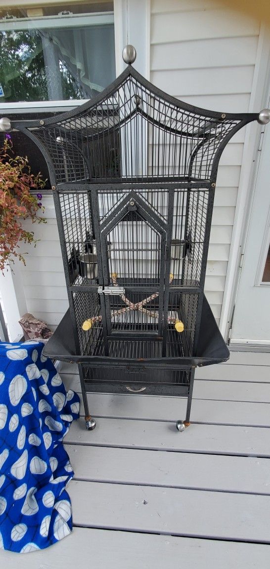 Bird Cage 