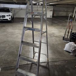 Werner Aluminum Ladder 