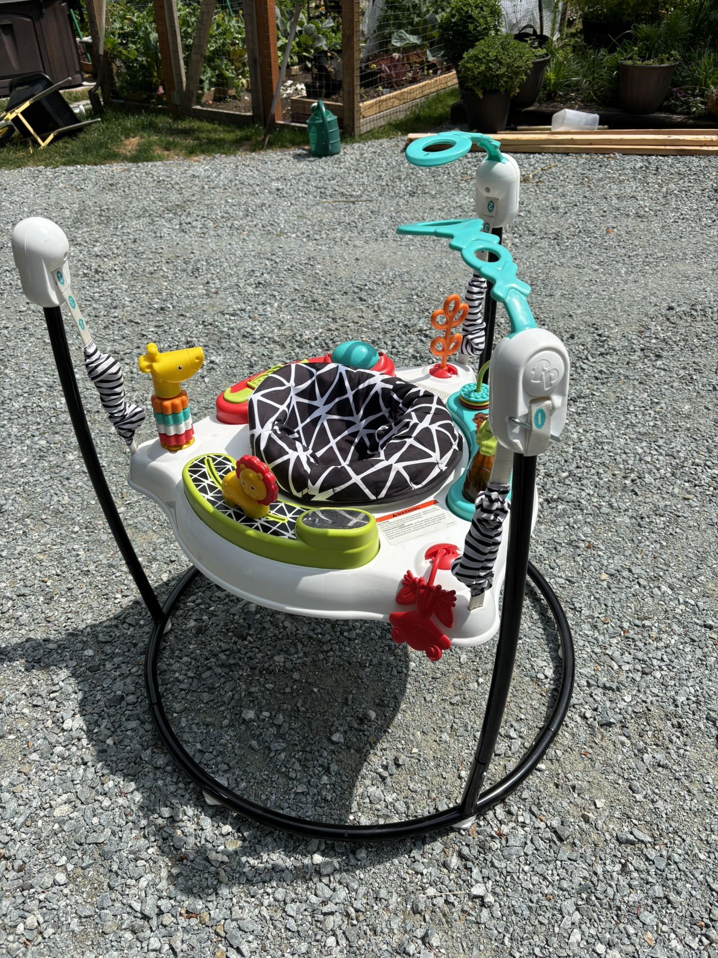 Fisher Price Bouncer