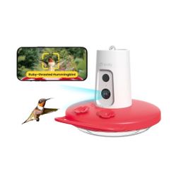 BIRDFY Hummingbird Feeder with 1080 FHD Camera with Ant Moat & AI Identify Bird Species