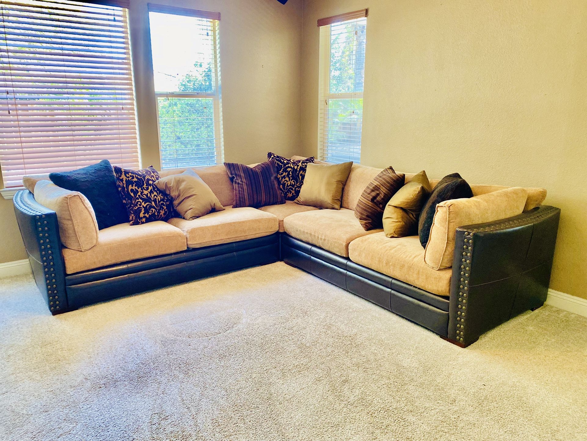 Sectional Couch