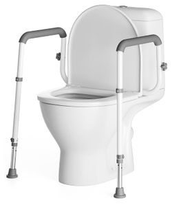 Toilet safety Rail