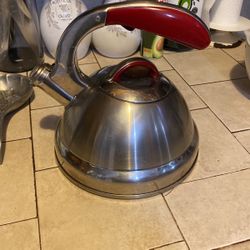 Stainless Steel Tea Pot