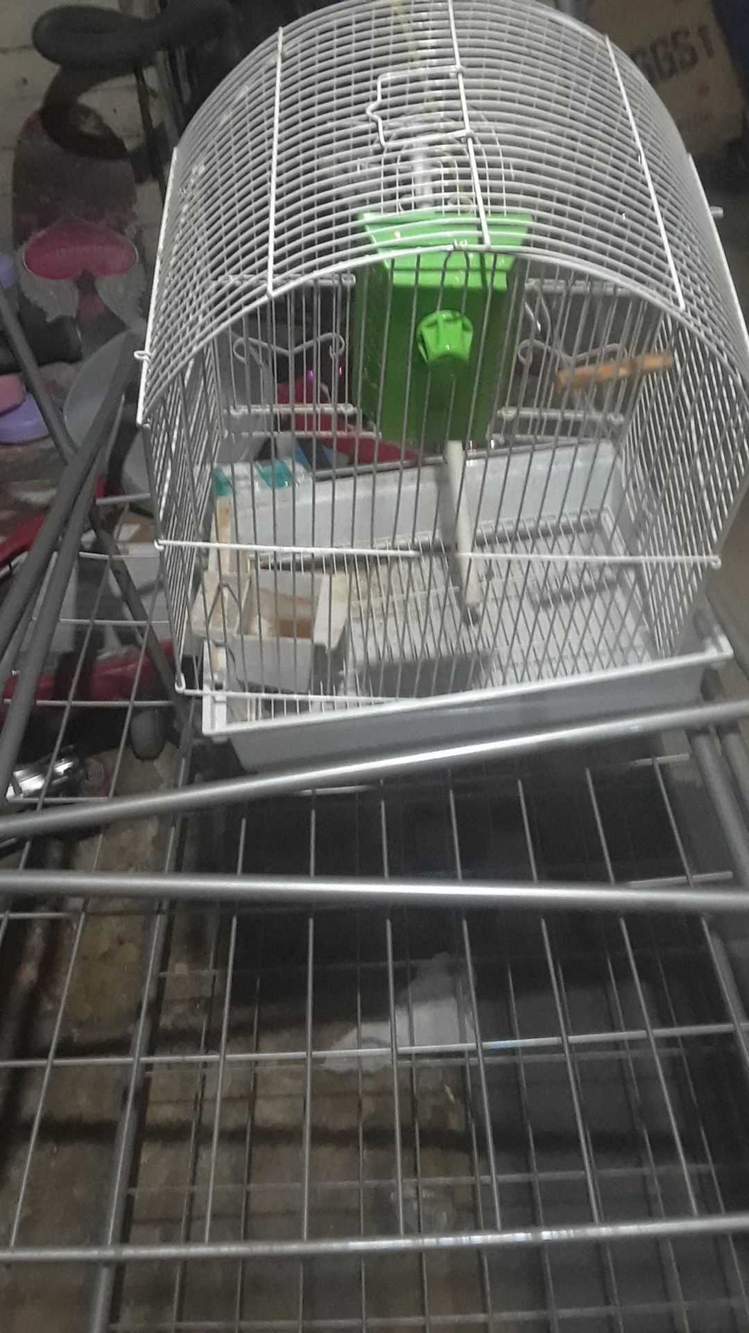 Birdcage new can fit two birds come freely has a mirror a poll they can stand on you can put paper under the cage and change it easily and a food bowl