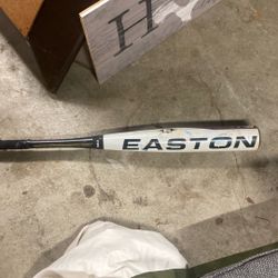Easton Baseball Bat