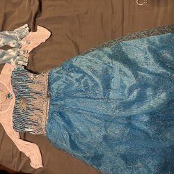 Elsa Costume From Frozen 