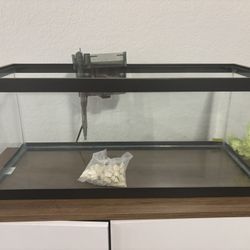 20 Gallon Long Aquarium w/ Lights And Filter