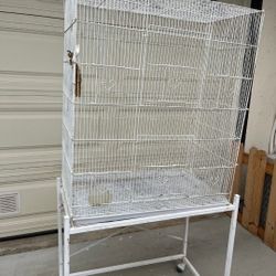 Bird 🐦 Cage