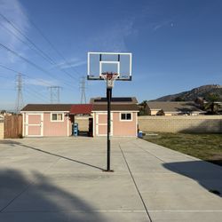 Basketball Hoop